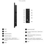 Monitor Dell P5525QC (210-BNTN) - 7