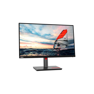 Monitor Lenovo ThinkVision P25i-30 (63F4MAT1EU)