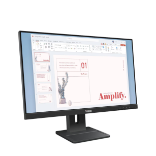 Monitor Lenovo ThinkVision E24-40 (64BAMAT1EU)