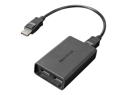 Lenovo DisplayPort to Dual DisplayPort Monitor (0B47092)