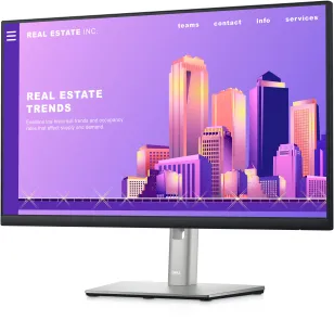 Dell Monitor P2422H 24" z 5 letnią gwarancją (210-AZYX/5Y)