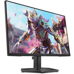 Monitor Dell 24 SE2426HG (210-BTTF)